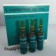 L-Carnitene Germany 5g x 10 ampoules for Weight Loss & Slimming & Fat Away